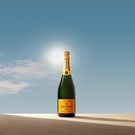 More veuve-clicquot-brut-life.jpg